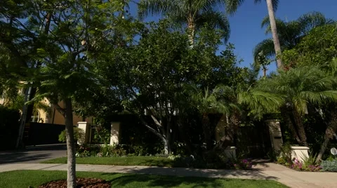 Driving along a tree lined residential roadway Stock Footage 68909776