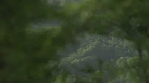 Driving along trees and forest, valley. Nature reserve. Eco-friendly Video stock 144056108