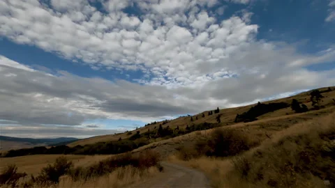 Driving along a winding path between hills covered with yellow grass Stock Footage 141602817