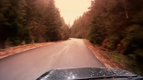 Driving among firs Stock-Footage 14808167