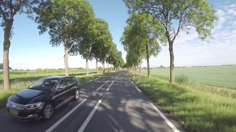 Driving amoung the trees Stock Footage 83499339