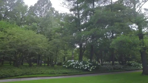 Driving around the forest Видео 80327100