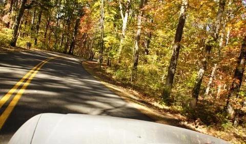 Driving autumn Stock Photos