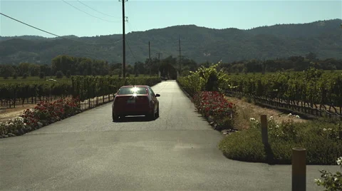 Driving away from winery Stock Footage 45252314