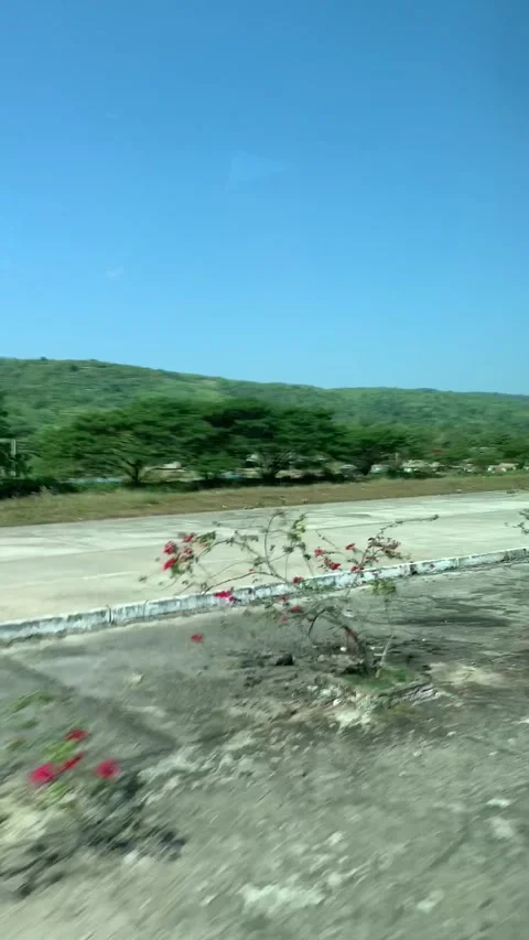 Driving in Bagan Stock Footage 343736246