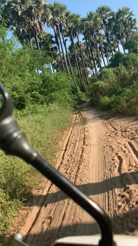 Driving in Bagan historical park Vídeo Stock 343736220