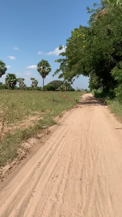 Driving in Bagan historical park Stock-Footage 343736250