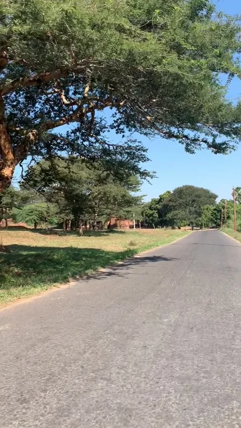 Driving in Bagan historical park Stock Footage 343736291