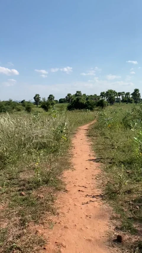 Driving in Bagan historical park Stock Footage 343736354