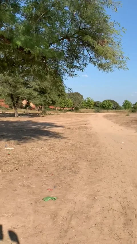 Driving in Bagan historical park Vidéo 343736407