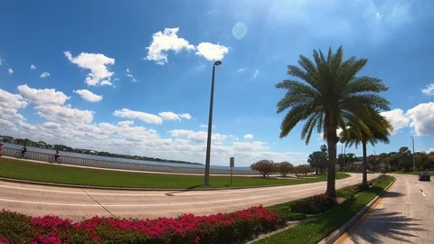 Driving Bayshore Blvd 库存影片 127332027