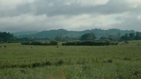 Driving by beautiful green fields and hills Stock Footage 140610910