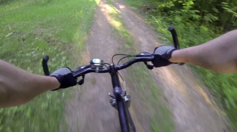 Driving the bicycle on the forest road Stock Footage 64679655