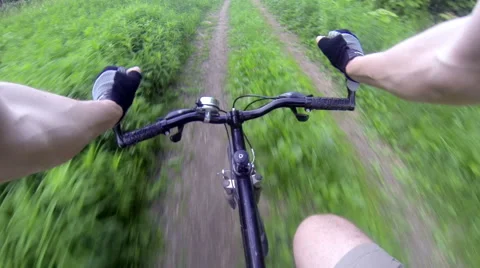 Driving the bicycle on the forest road Stock Footage 64679666