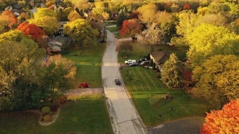 Driving a black SUV car down a suburban street in fall season Stock Footage 141080389
