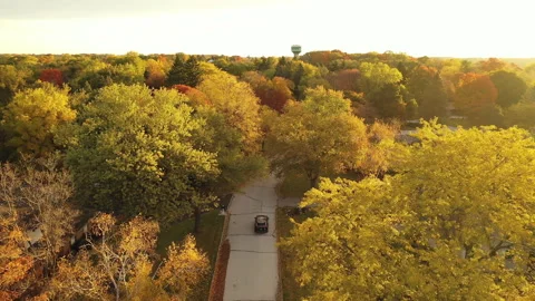 Driving a black SUV car down a suburban street in fall season. Stock Footage 141081588