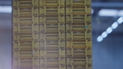 Driving Boxes on a fork lift Video stock 119281810