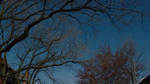 Driving Brooklyn Streets Stock Footage 128598785