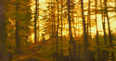 Driving on a bumpy country road at sunset. POV shot, hand-held camera Stock-Footage 91830369