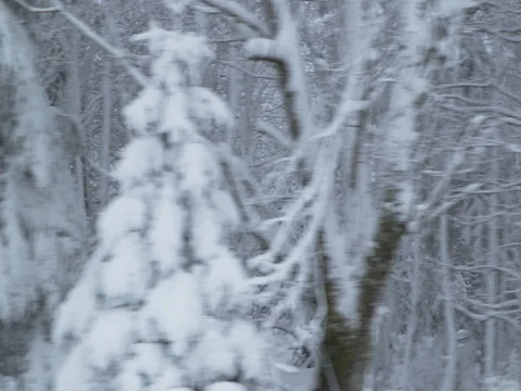 Driving on a bumpy road, leading through a snowy forest - hand-held shot Stock-Footage 84301979
