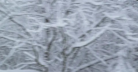 Driving on a bumpy road that is leading through a snowy forest - hand-held shot Stock-Footage 84302005