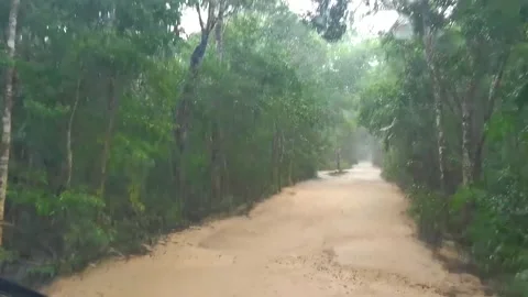 Driving bumpy road in the tropical jungle during rain Mexico. Video stock 300443709
