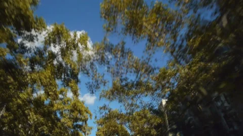 Driving cabrio sky point of view Stock Footage 31816766