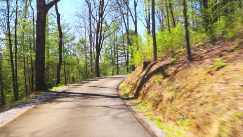 Driving on Cades Cove scenic loop drive, Great Smoky Mountains National Park Stock Footage 210054549