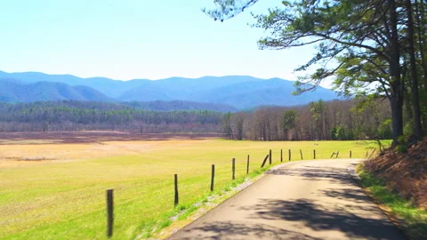 Driving on Cades Cove scenic loop drive, Great Smoky Mountains National Park Stock Footage 210062439