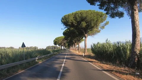 Driving a Car along empty Road in Italy on a sunny day with clear sky. Vídeo Stock 101557884