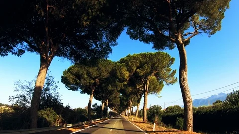 Driving a Car along empty Road in Italy on a sunny day with clear sky. Stock Footage 119636254