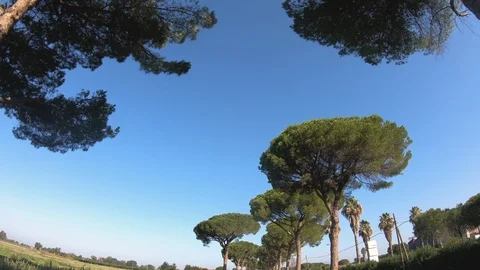 Driving a Car along empty Road in Italy on a sunny day with clear sky. 스톡 동영상 123540232