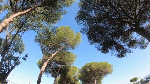 Driving a Car along empty Road in Italy on a sunny day with clear sky. Low angle 스톡 동영상 130143419