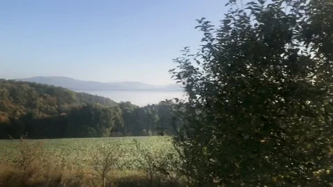 Driving a car along forest. View from car window on blue sky and trees Stock Footage 121678817