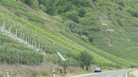 Driving with car along the mosel river region next to Bremm (Germany). Vídeo Stock 80020522