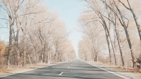 Driving in the car Stock Footage 98800290