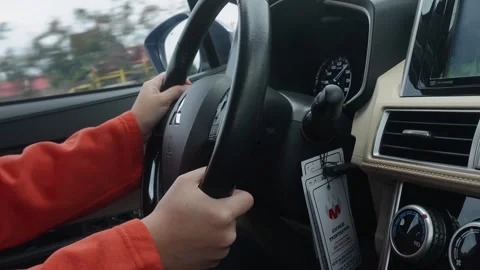 Driving car Stock Footage 301039852