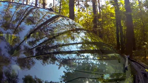 Driving a car, in a forest, camera aimed at the driver through the windshield. Stock Footage 44891761
