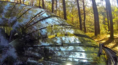 Driving a car, in a forest, camera aimed at the driver through the windshield. Stock Footage 44893312