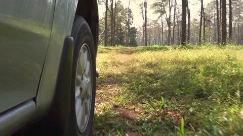 Driving a car in the forest Stock Footage 92709341