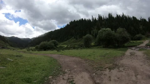 Driving car on forest mountain trail Stock Footage 164139352