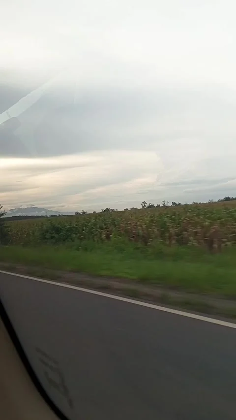 Driving a car on a freeway Stock Footage 300652607