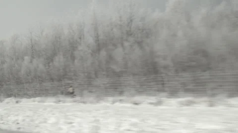 Driving a car on a highway. Passing trees with freshly fallen snow. Video stock 68025211