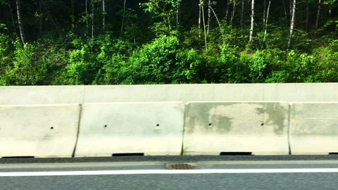 Driving with car on highway, side view on trees, driver's view Stock Footage 109403704