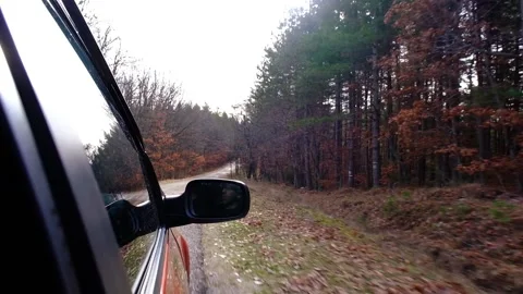 Driving of a car inside the road in forest. Stock Footage 153957465