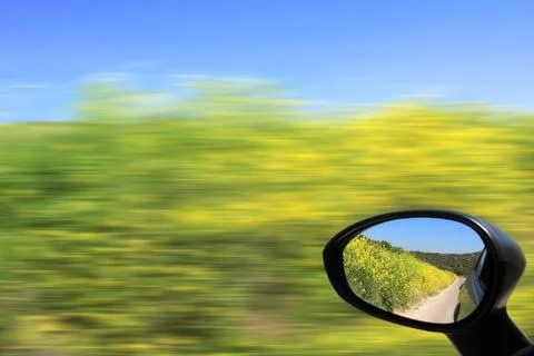 Driving in the car. Stock Photos