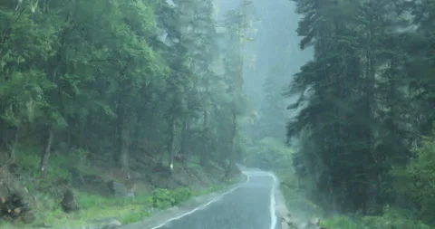 Driving car in the raining forest Video stock 254287610