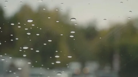 Driving car at rainy day slow motion, windshield view - car headlights, trees Stock Footage 80901320