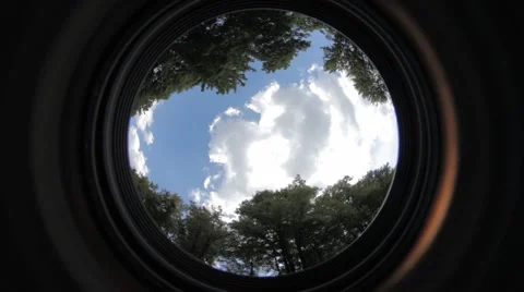 Driving Car Reflection Map Stock Footage 47828112