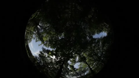 Driving Car Reflection Map Stock Footage 47828679